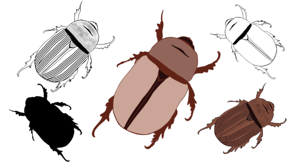 Rhino Beetle SVG PNG: Graphics for Print Templates